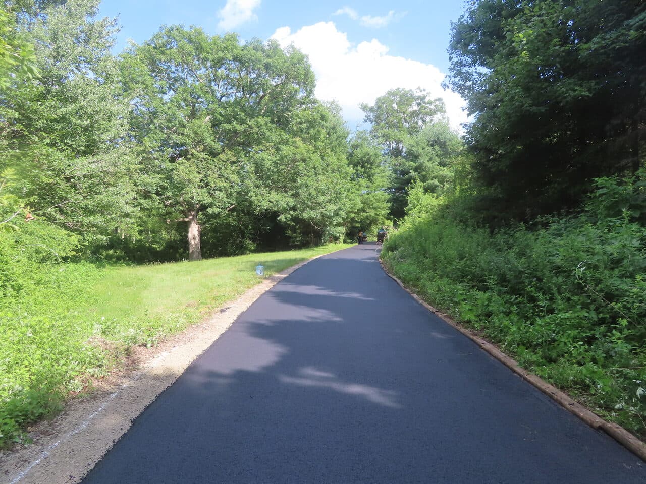 Multi-Stop Residential Driveway Paving project in Durham & Wallingford, CT — new asphalt road lined with trees