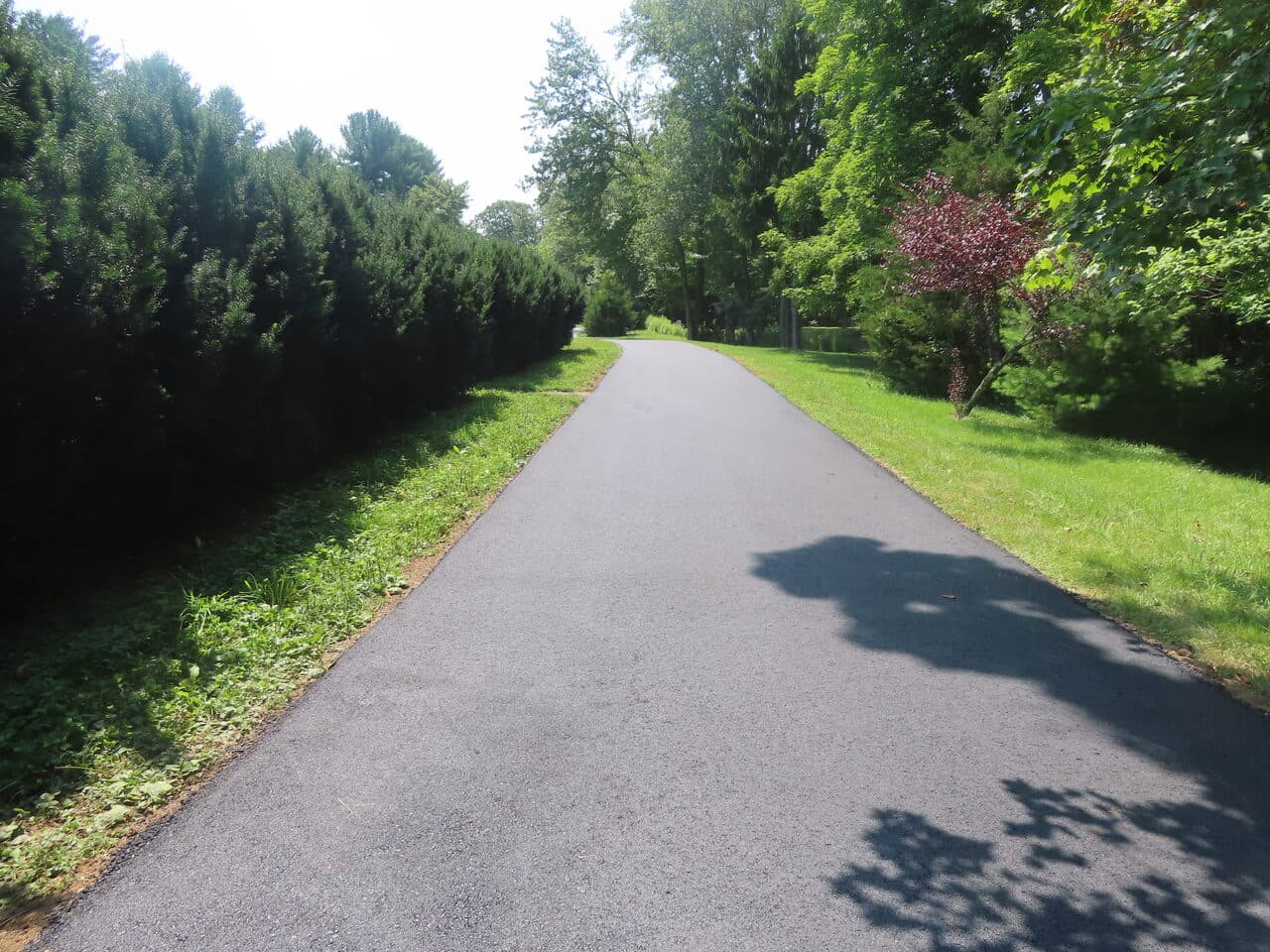 Pedestrian Trail & Parking Lot Paving project in Guilford, CT — paved path beside arborvitae hedge