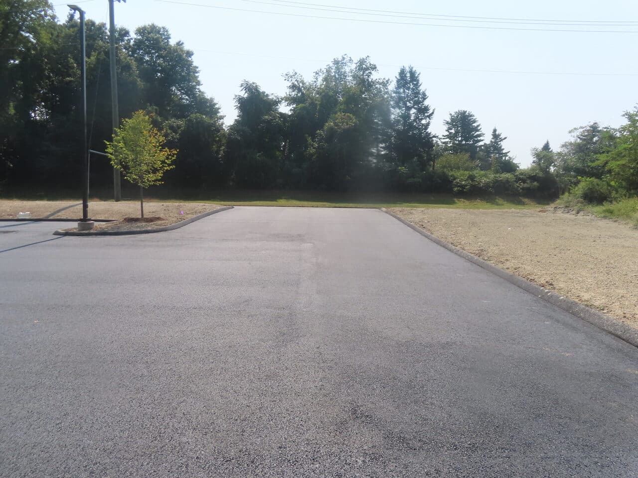 Commercial Parking Lot Paving project in Plainville, CT — fresh asphalt edge with new tree
