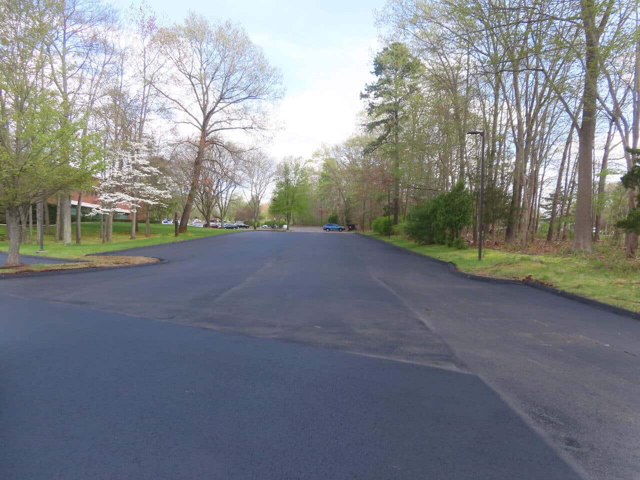 Freshly sealcoated asphalt drive — deep black finish along a tree-lined access drive
