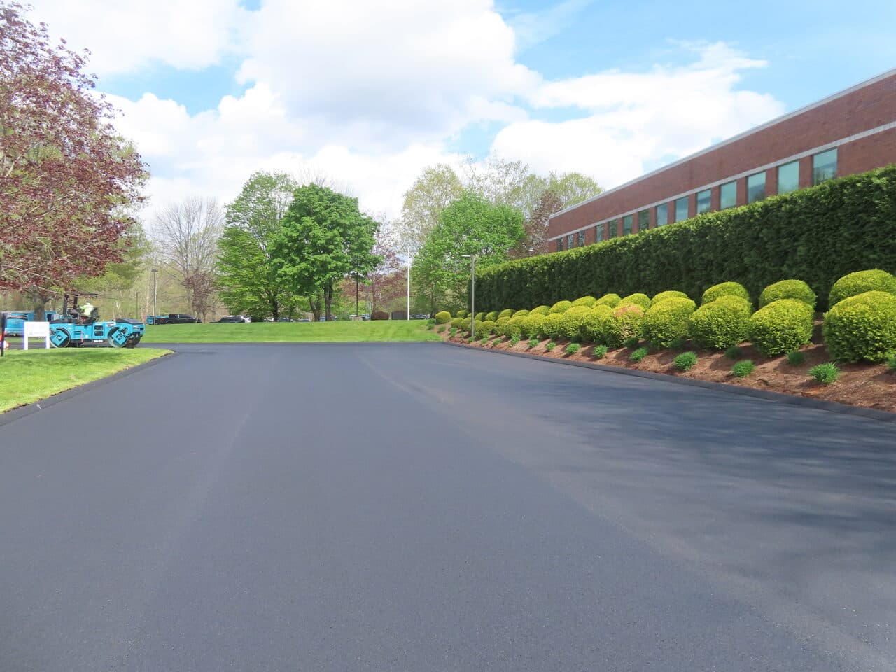 Commercial Sealcoating project in Glastonbury, CT — fresh sealed drive along hedge row